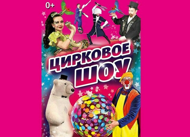 Цирковое шоу в Жуковском