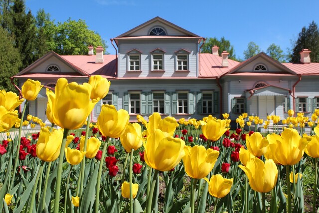 Кольцевой маршрут «Толстовское Подмосковье»: где бывал великий писатель и его известные современники