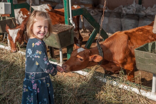 Семейный тур по Подольску и Наро-Фоминску: необычные музеи, активный отдых и общение с животными