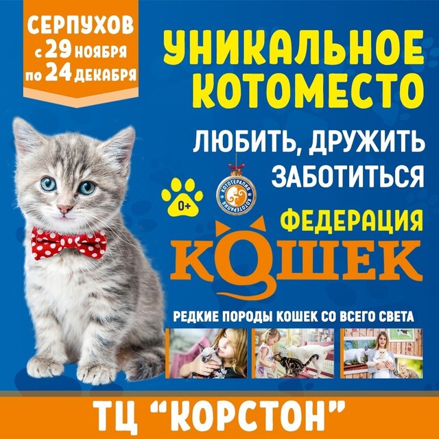 Котоместо «Федерация кошек»