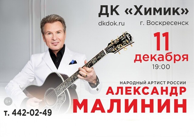 Концерт Александра Малинина