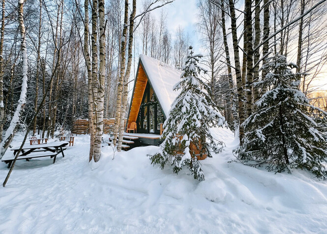 Треугольные домики в Подмосковье: уютный отдых посреди леса
