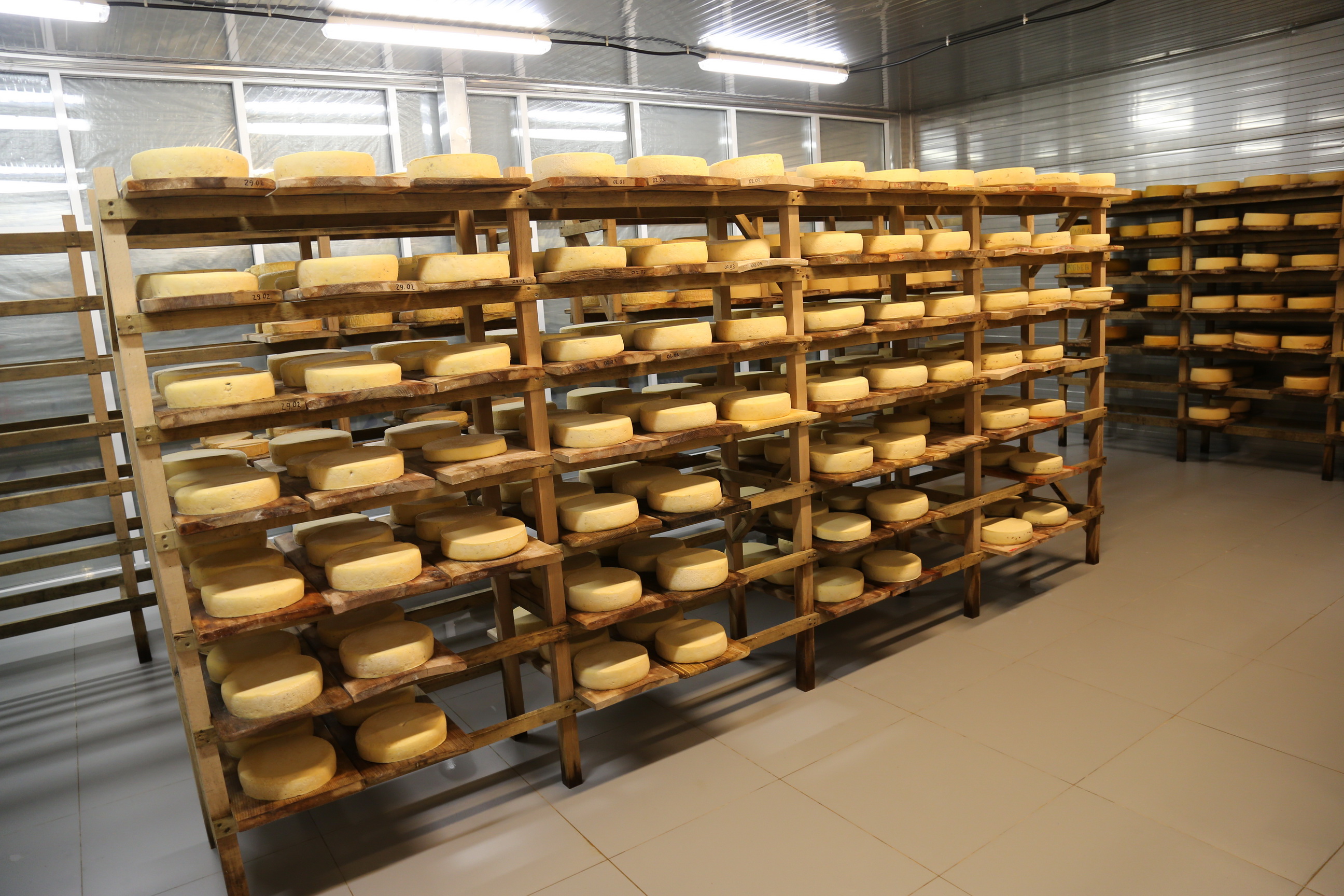 Как и следует из названия, сыроварня ориентируется на производство королей сыров — «Пармезана» и «Эмменталя»