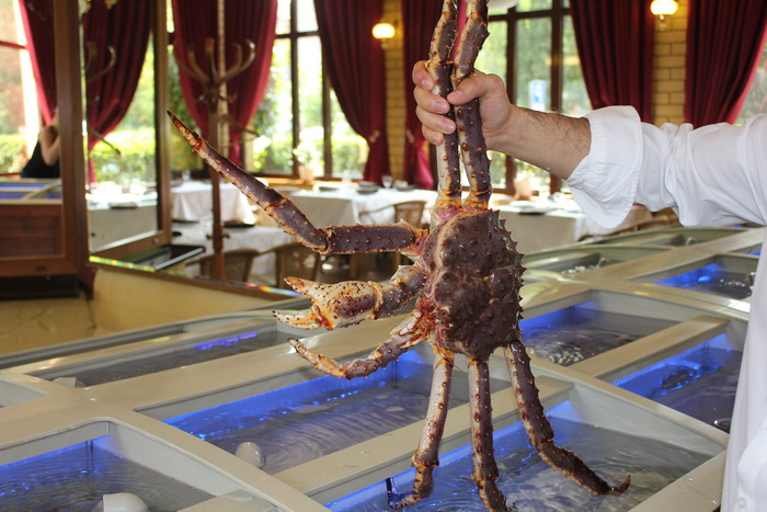На веранде ресторана расположены аквариумы, в которых гости могут выбрать для своего стола приглянувшихся устриц, гребешков или крабов