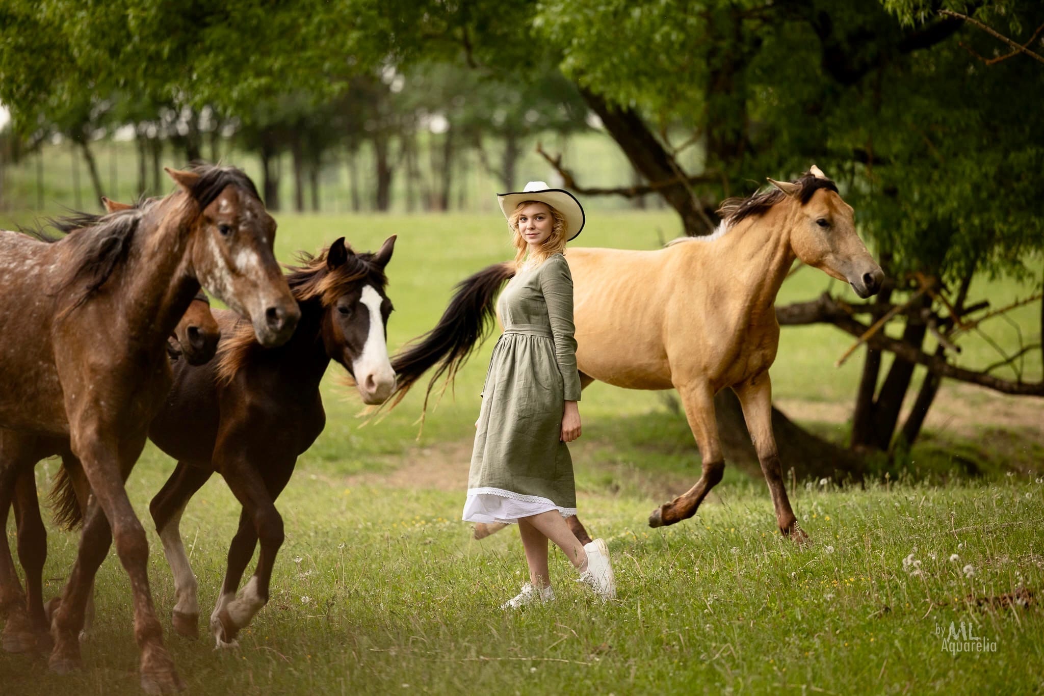 В конюшнях ранчо содержатся 50 лошадей различных пород