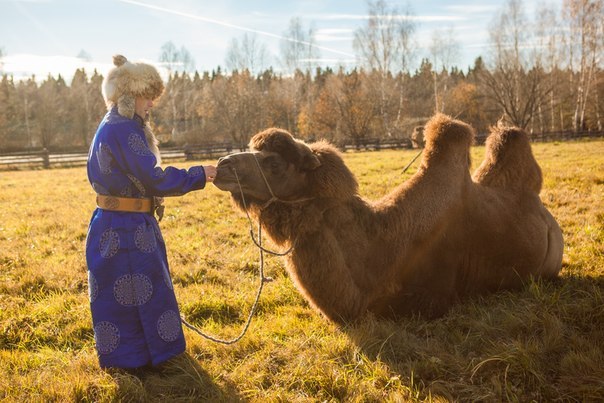 Этнопарк «Кочевник» 