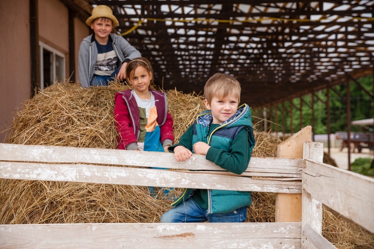 Экоферма «Хутор Метель Спиридоново подворье»