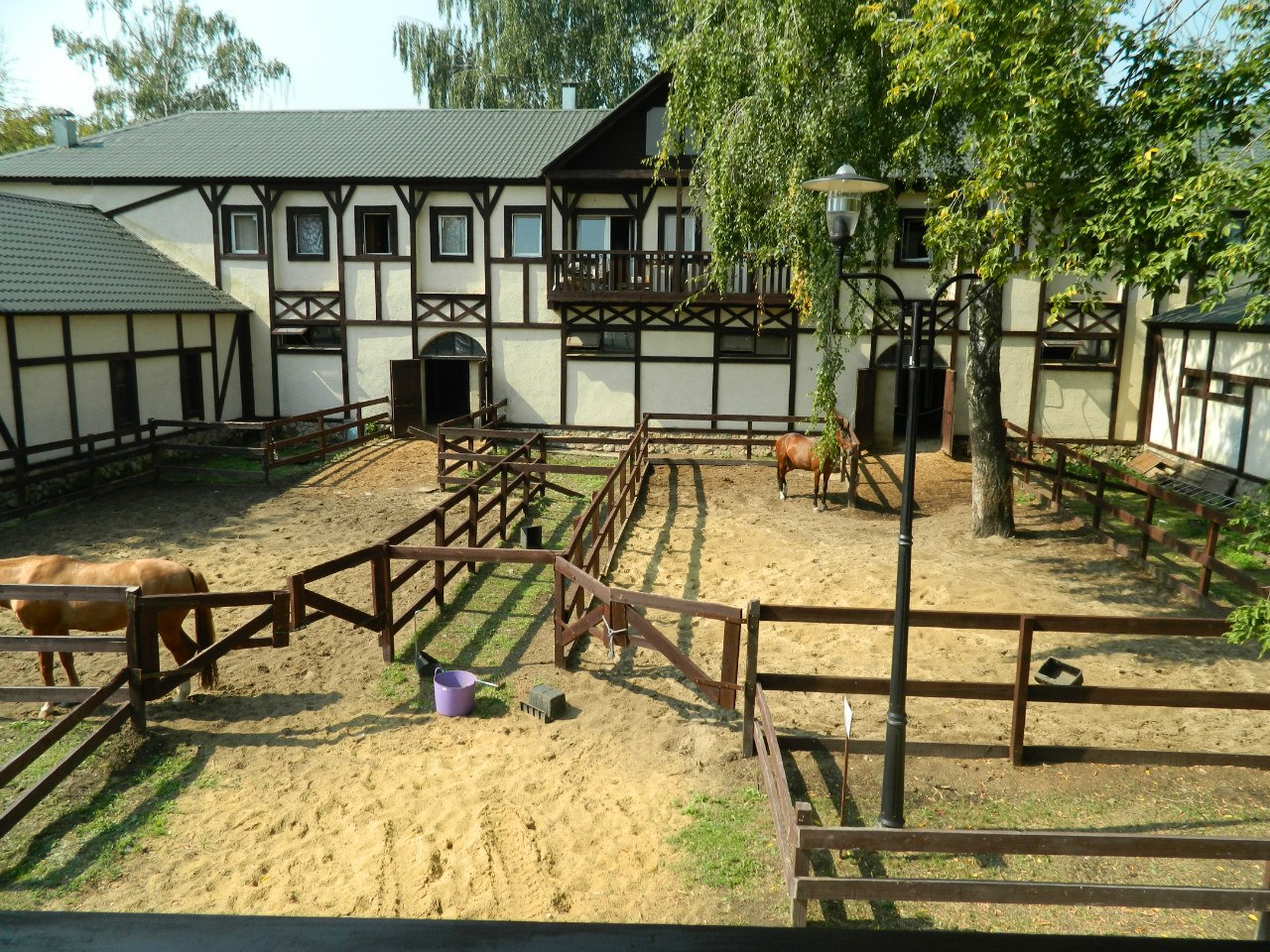 Конноспортивный клуб «Белая дача»