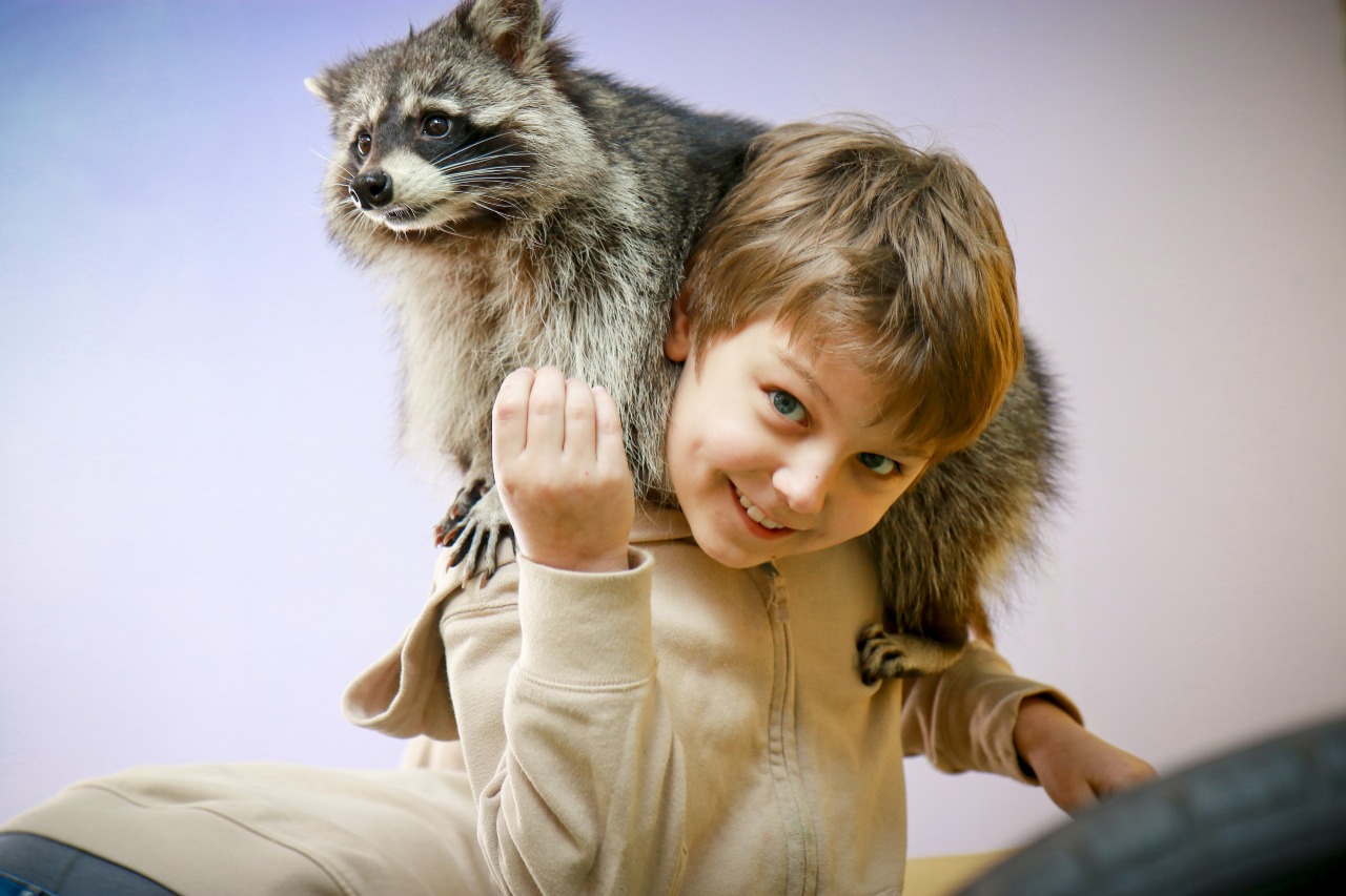 Образовательный и культурно-развивающий центр «Планета енотов»