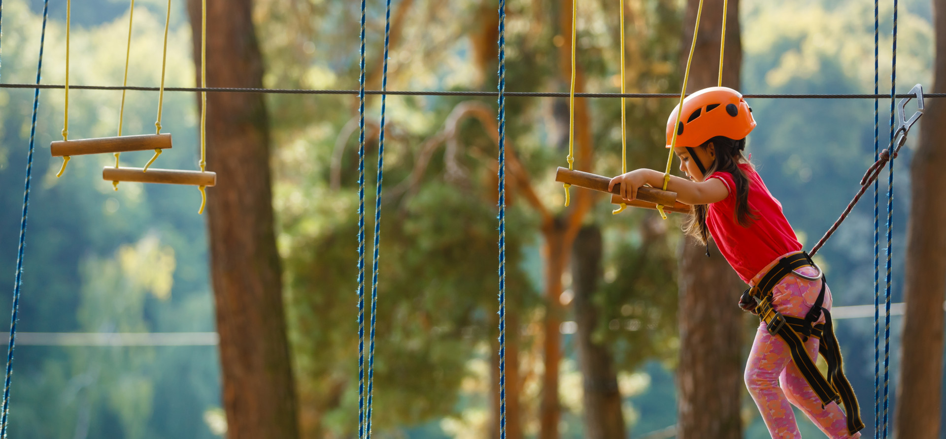 Веревочный парк «Пешки Парк»