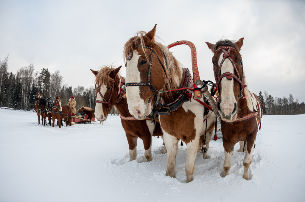 Конноспортивный клуб «Баллада»