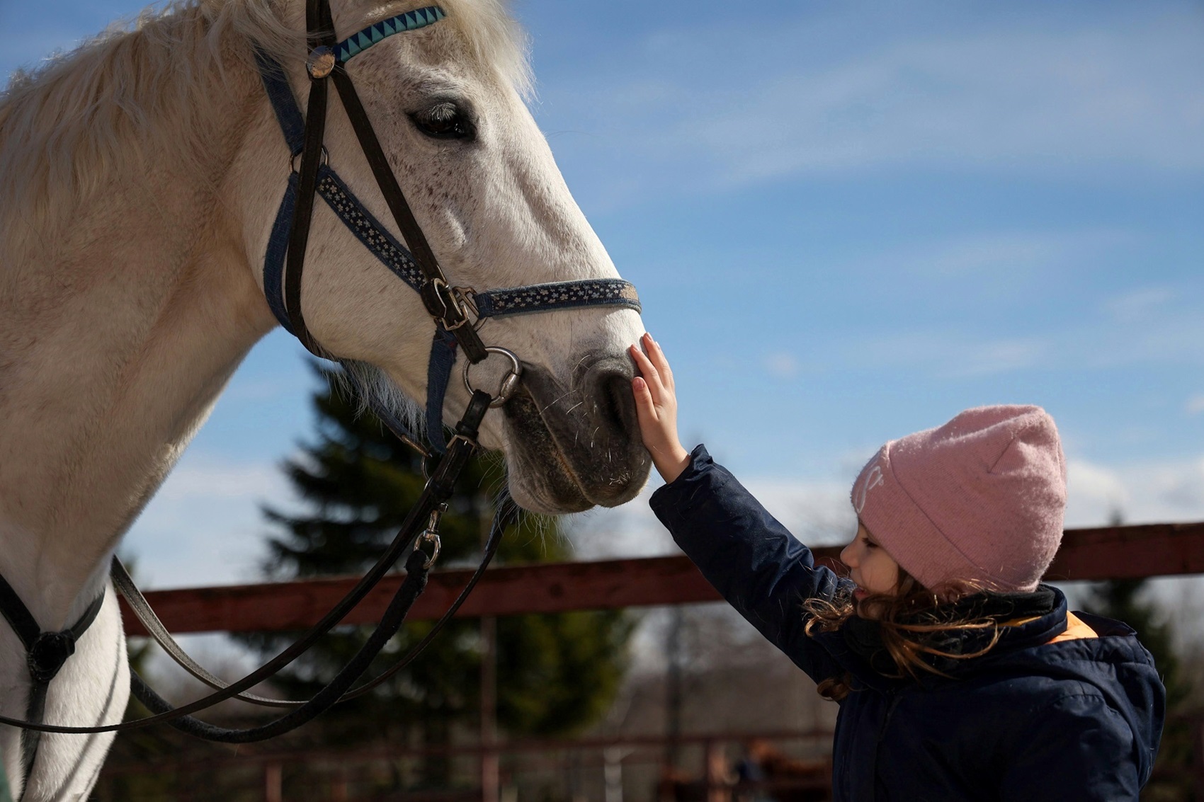 Конная база «Станица»