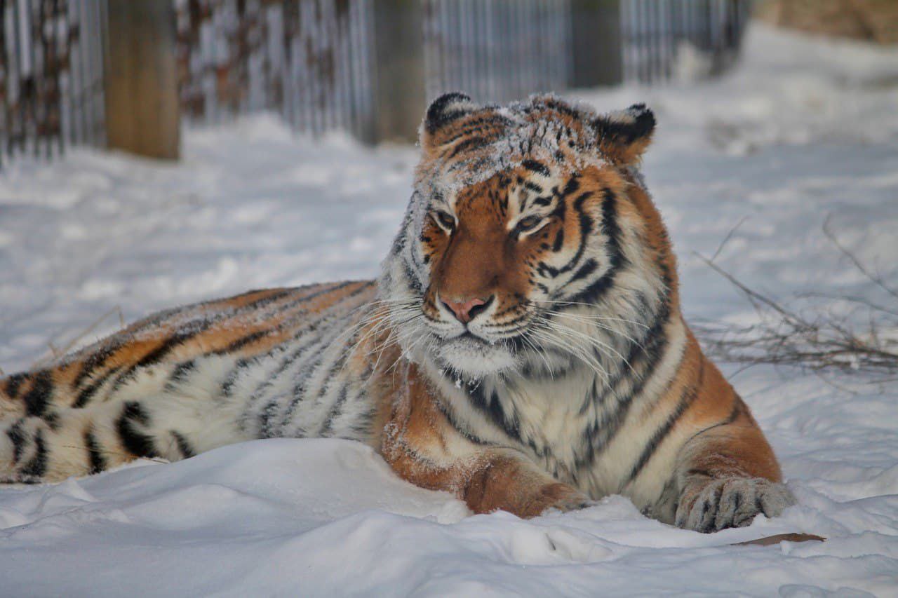 Центр воспроизводства редких видов животных