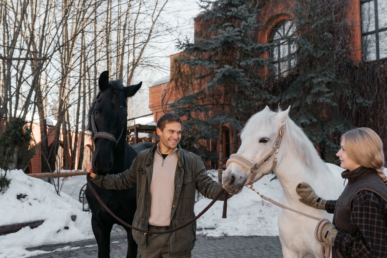 Конный клуб Few Horses