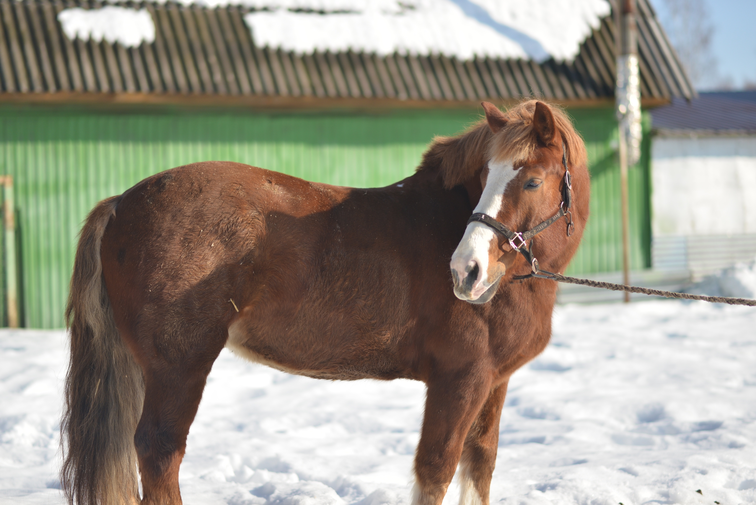 Фото: vk.com/bazaotdyha_mechta