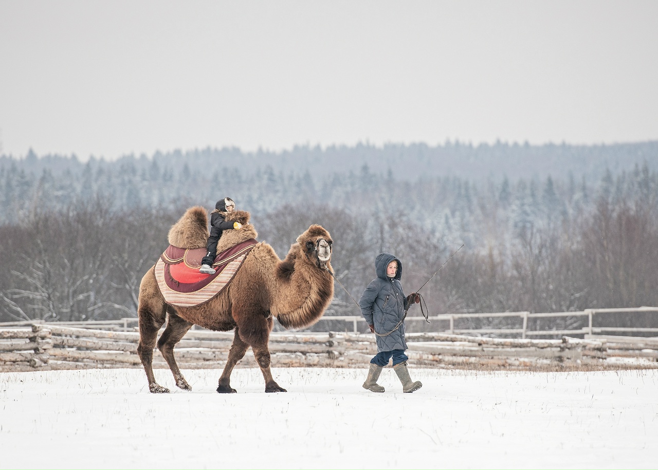Этнопарк «Кочевник»