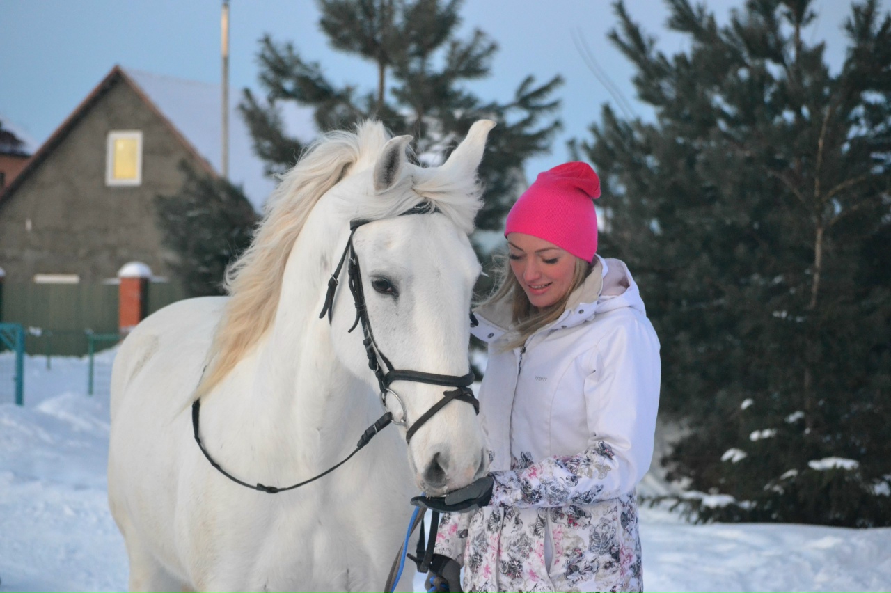 Конный клуб «Игнатовские конюшни»