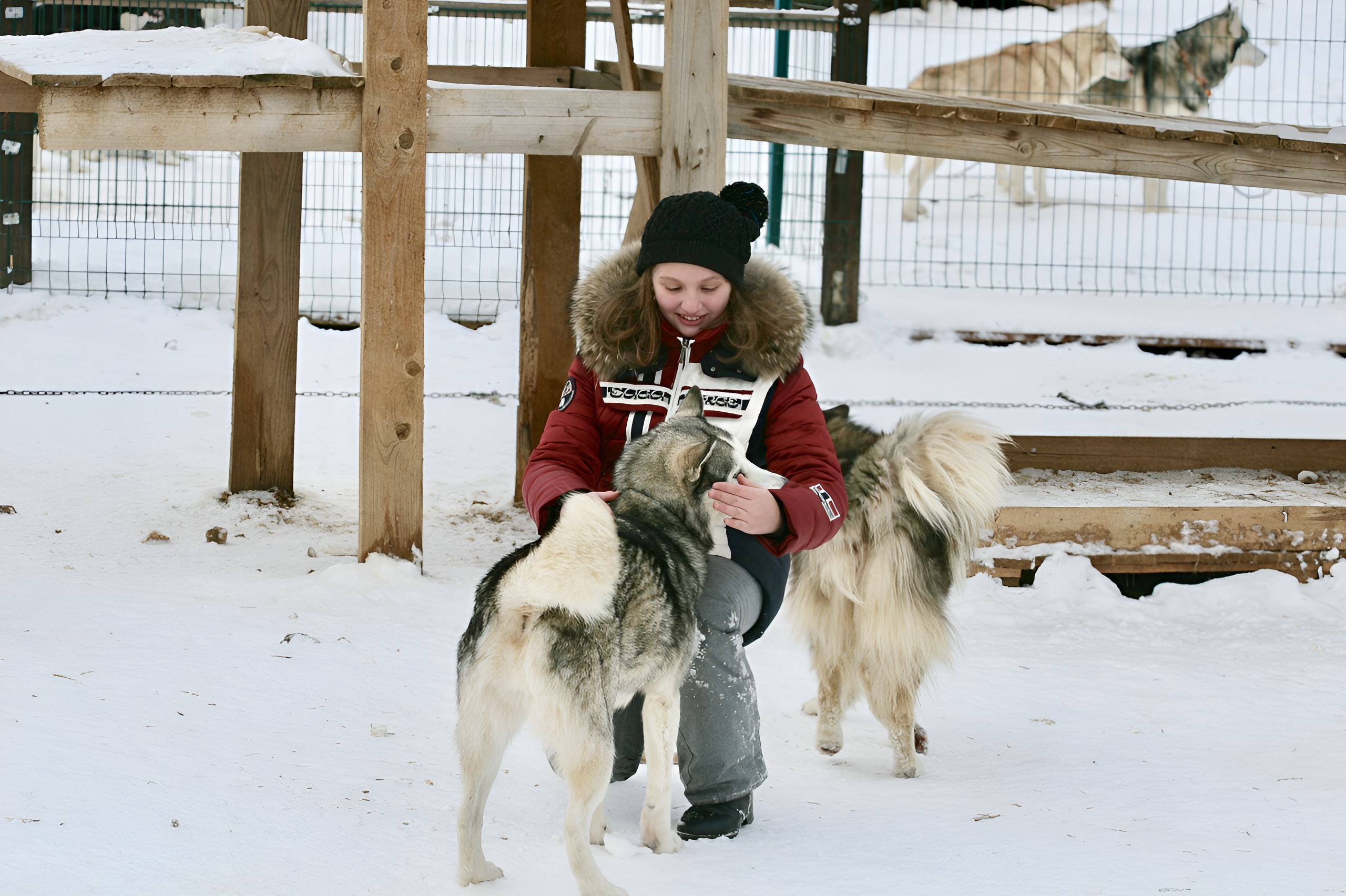Хаскидеревня «Рузская Аляска»