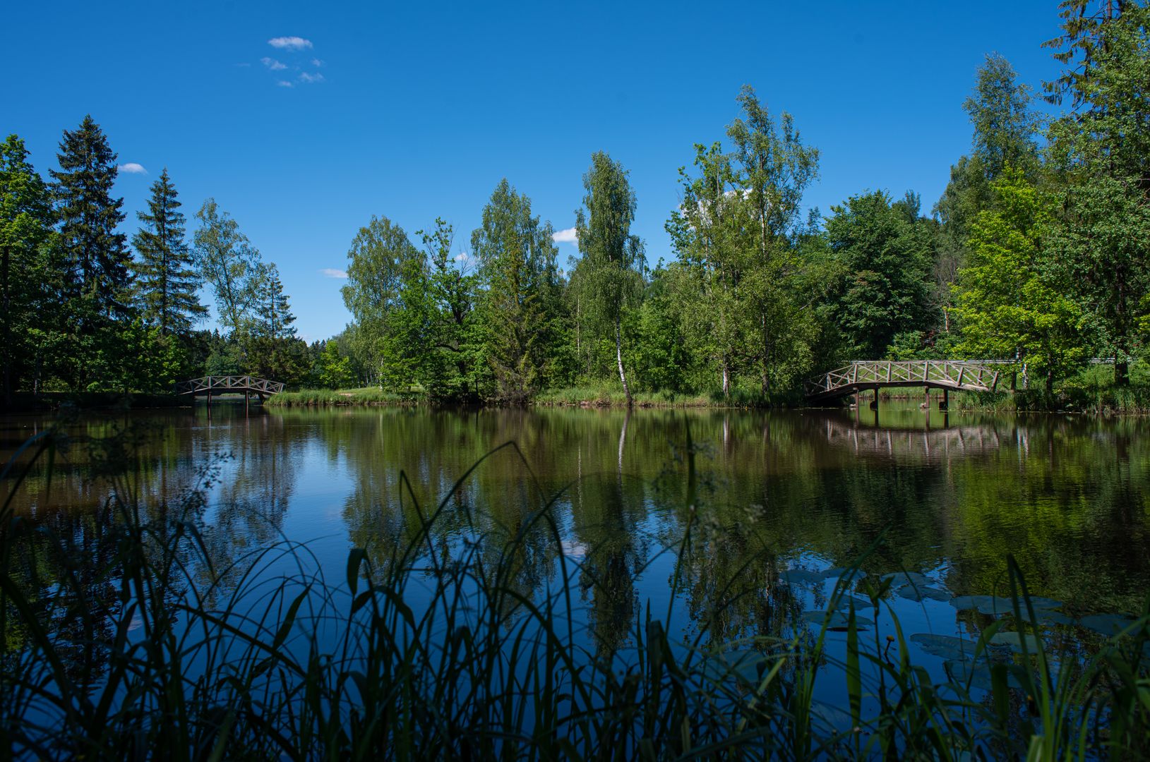 Музей-заповедник «Абрамцево»