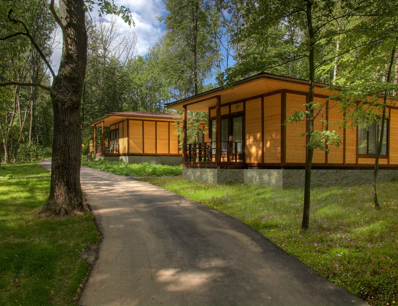 Отель Foresta Festival Park