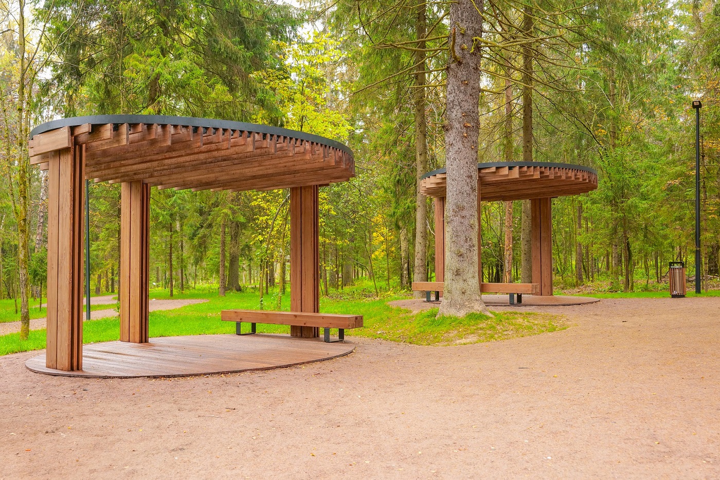 Лесопарк &laquo;Соколиная гора&raquo; в Истре 