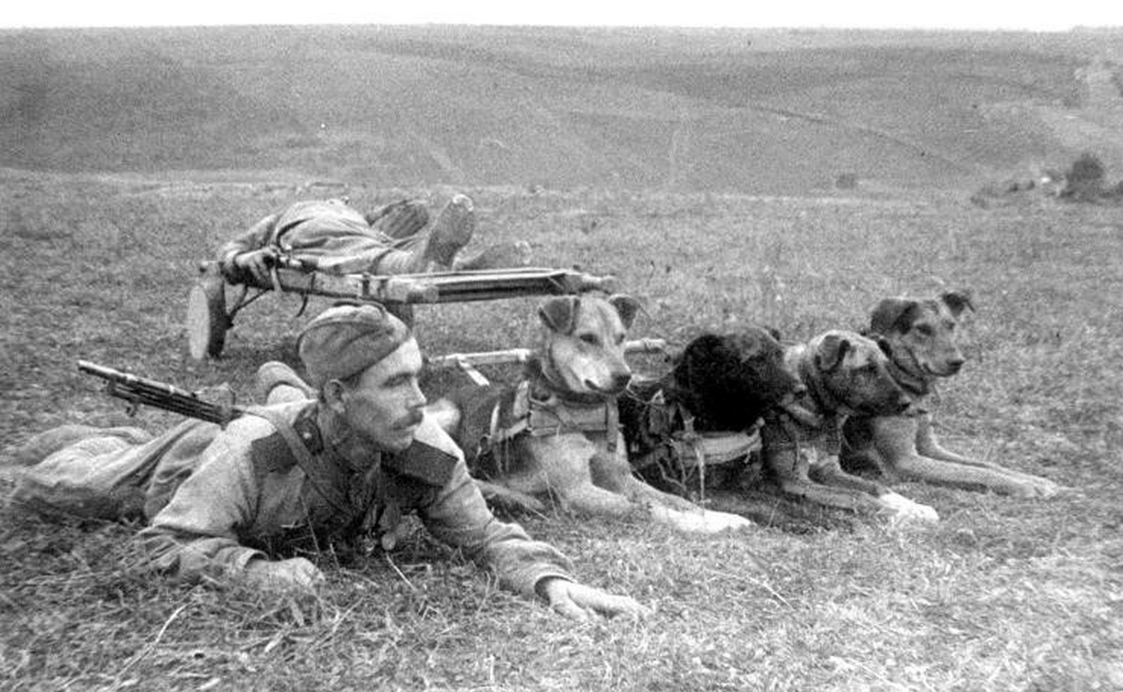 Музейное занятие «Маленькие герои большой войны» в музее «Новый Иерусалим»