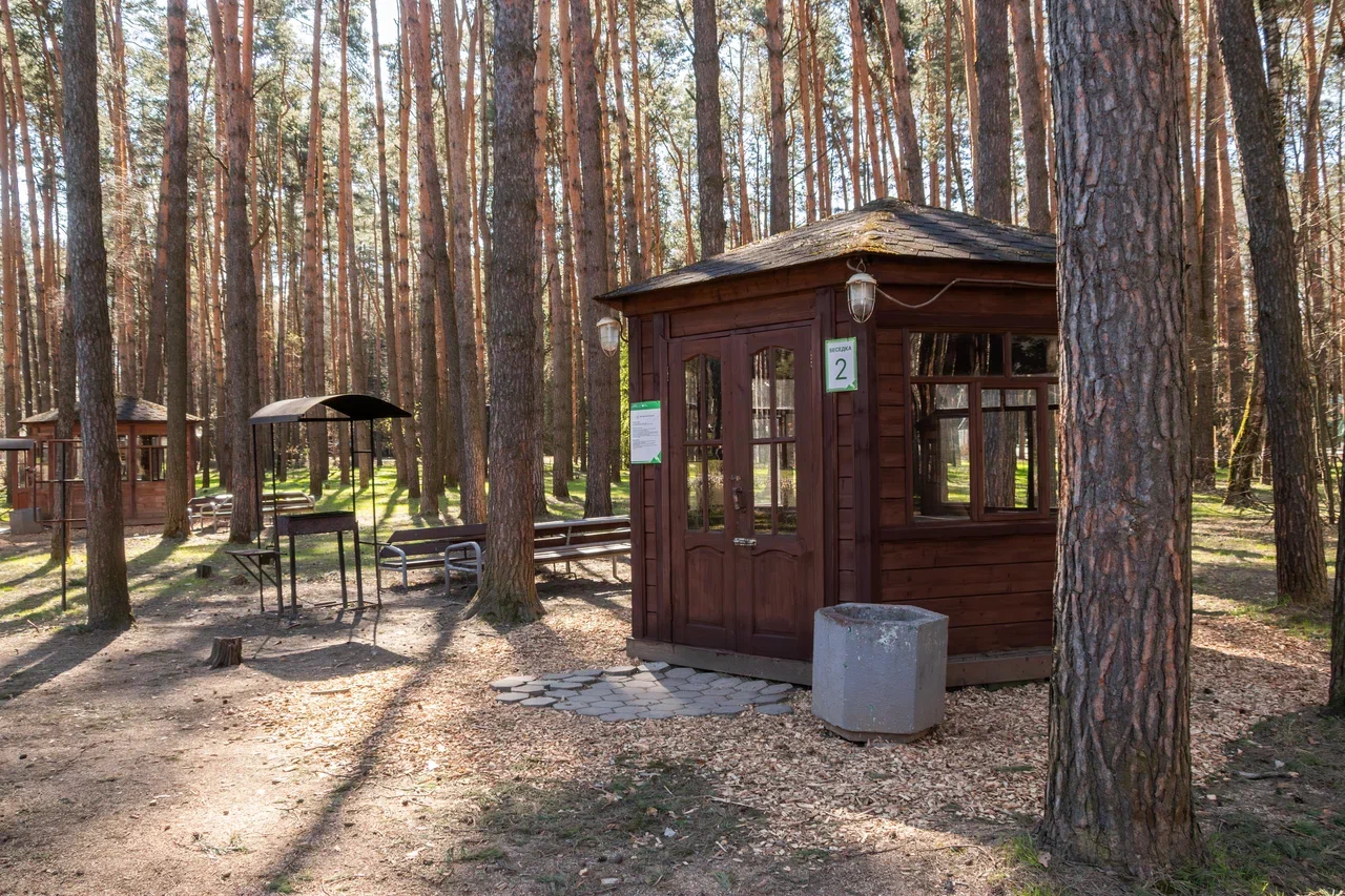 Мангальные беседки в парке «Елочки» в Домодедове