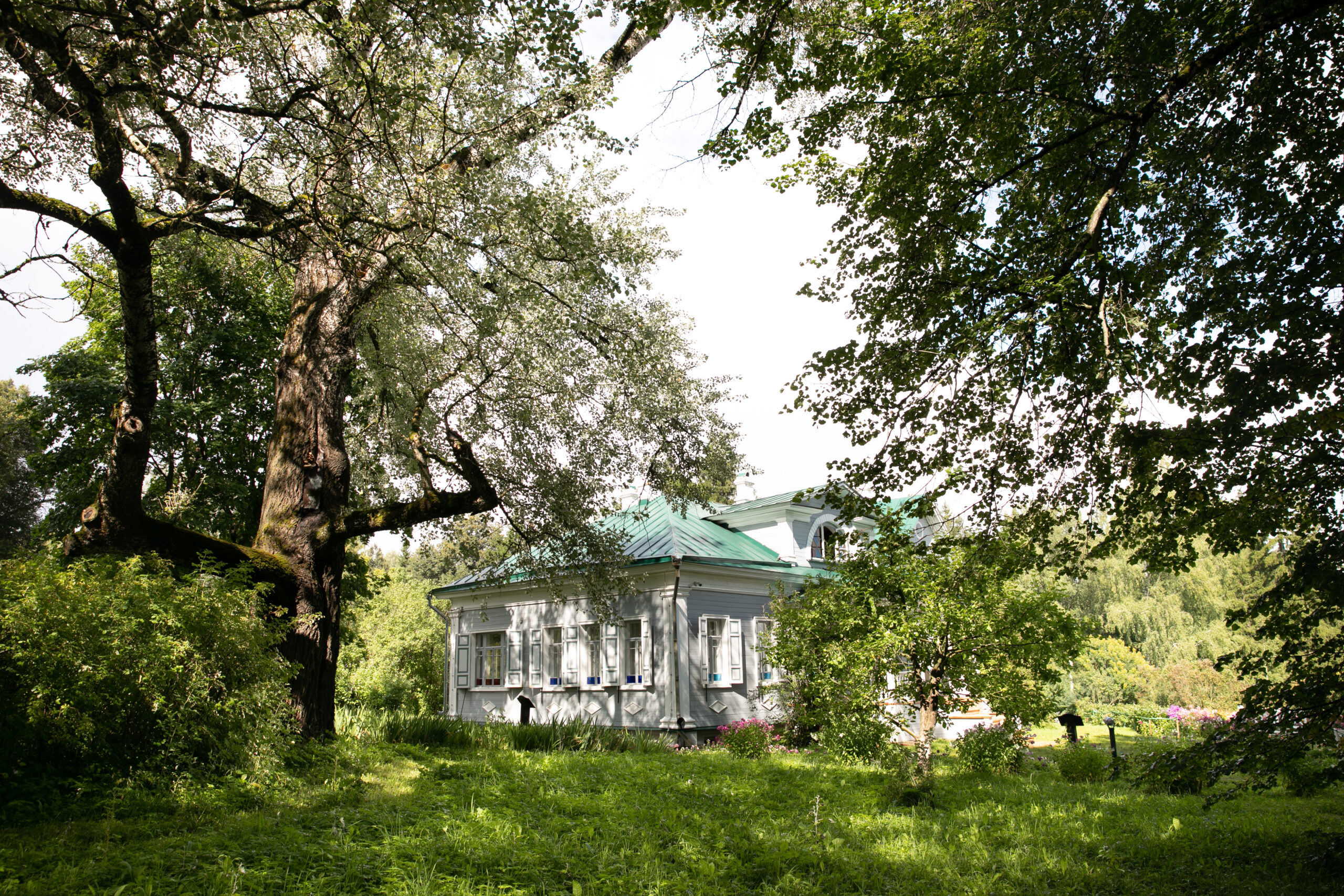 Парк усадьбы. Источник фото: https://шахматово.рф