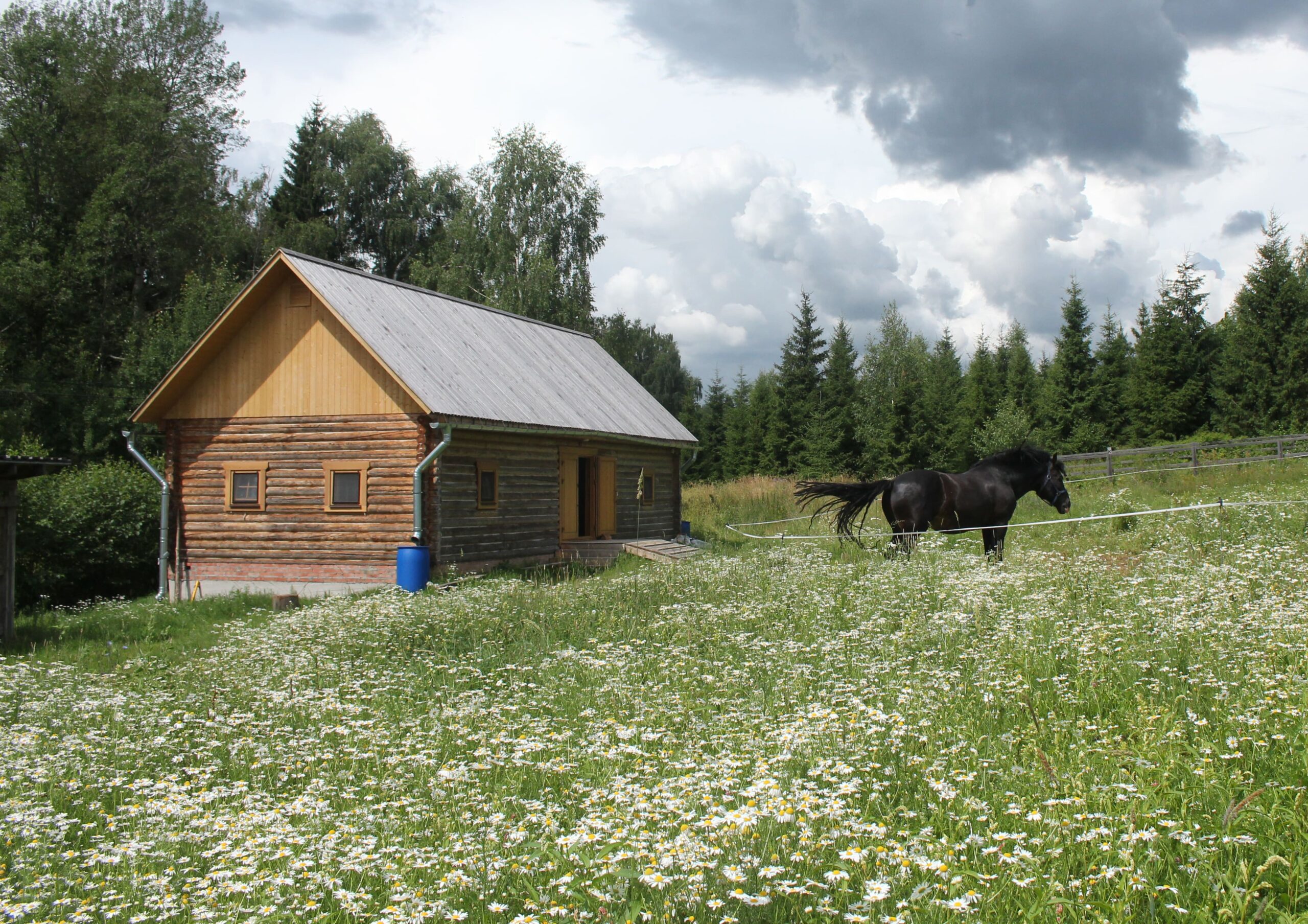 Сенной сарай. Источник фото: https://шахматово.рф