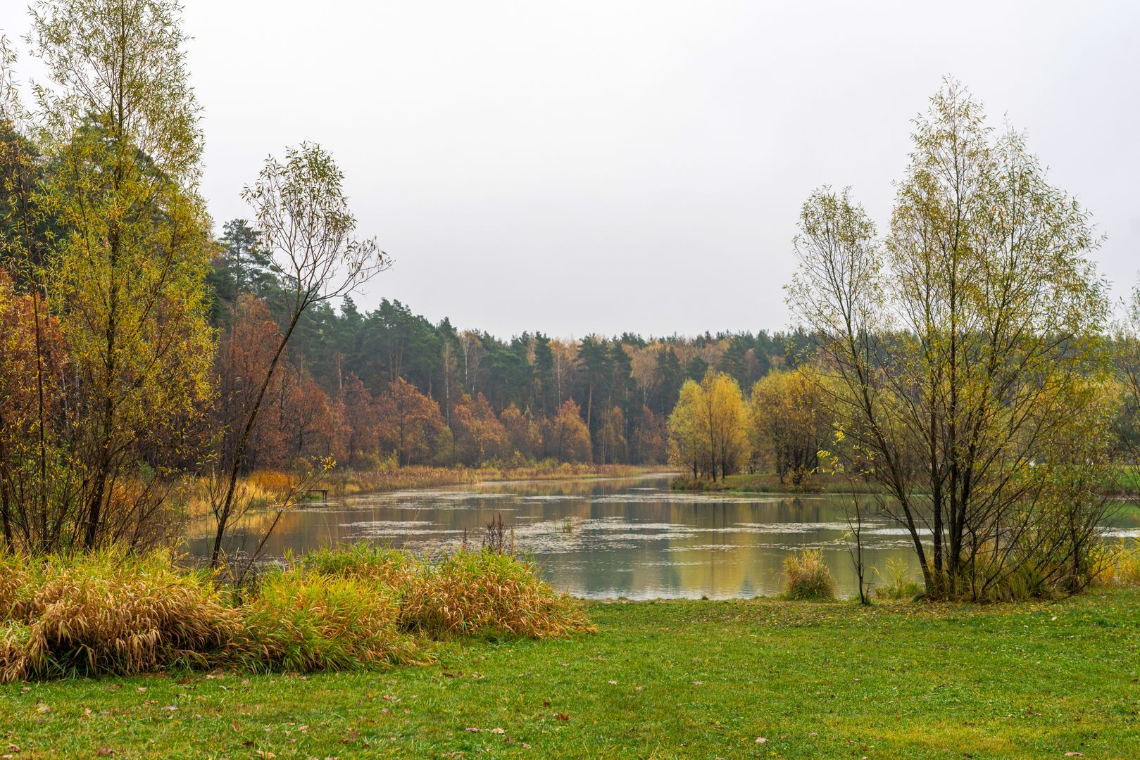 Парк Мещерский. Источник фото: https://медиасток.рф