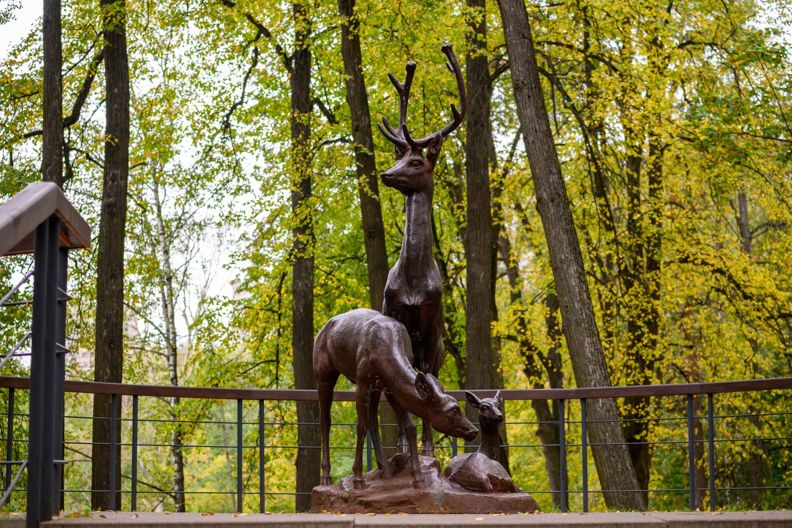 Раменский городской парк. Источник фото: https://медиасток.рф