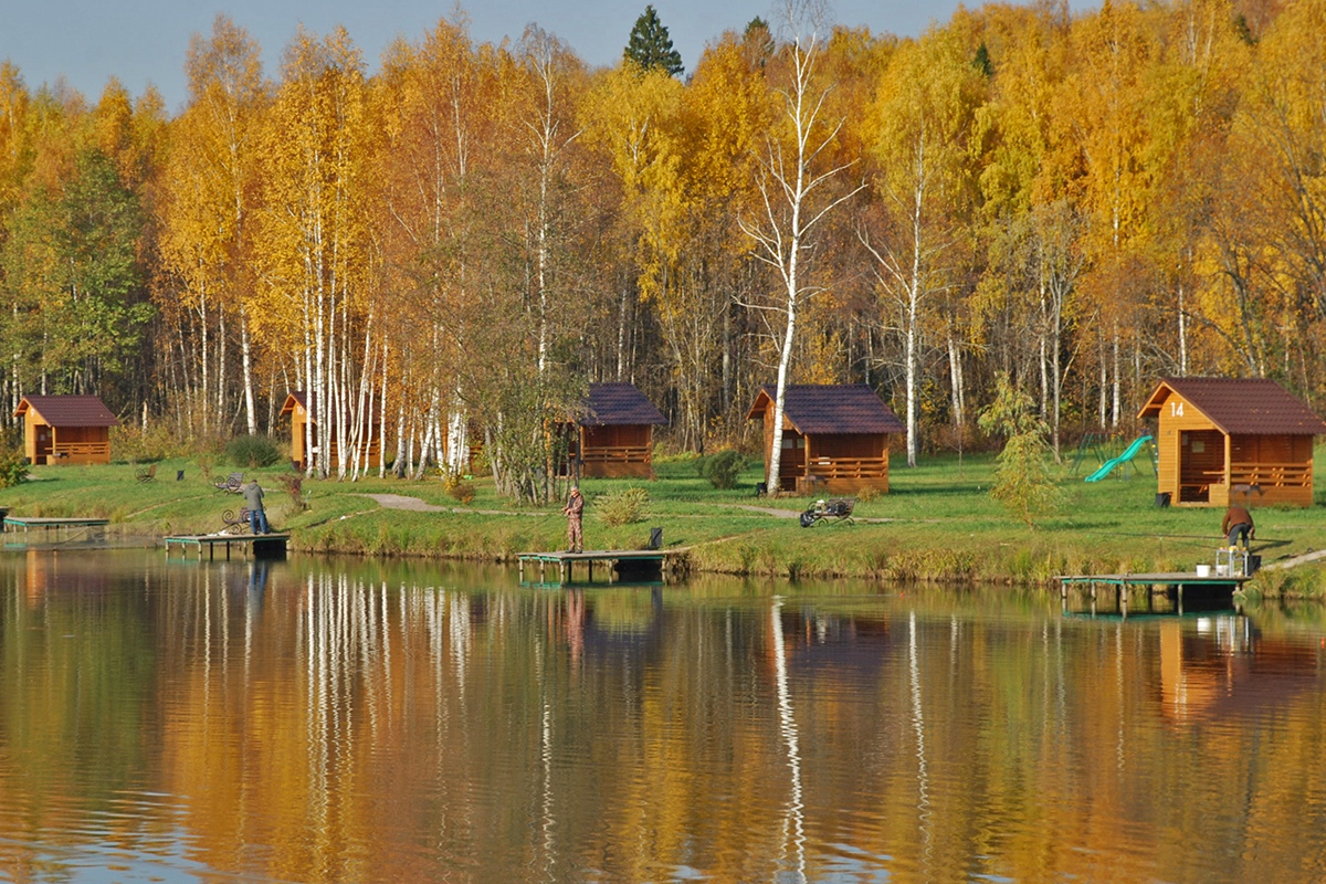 Рыболовная усадьба «Золотые караси»