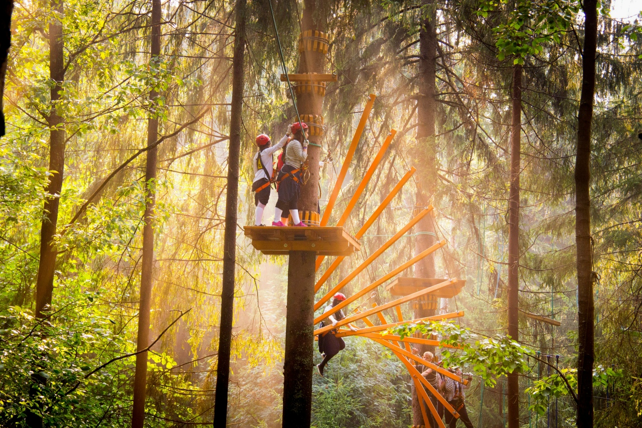 Парк приключений в Хотьково. Фото: https://vk.ru/adventurepark