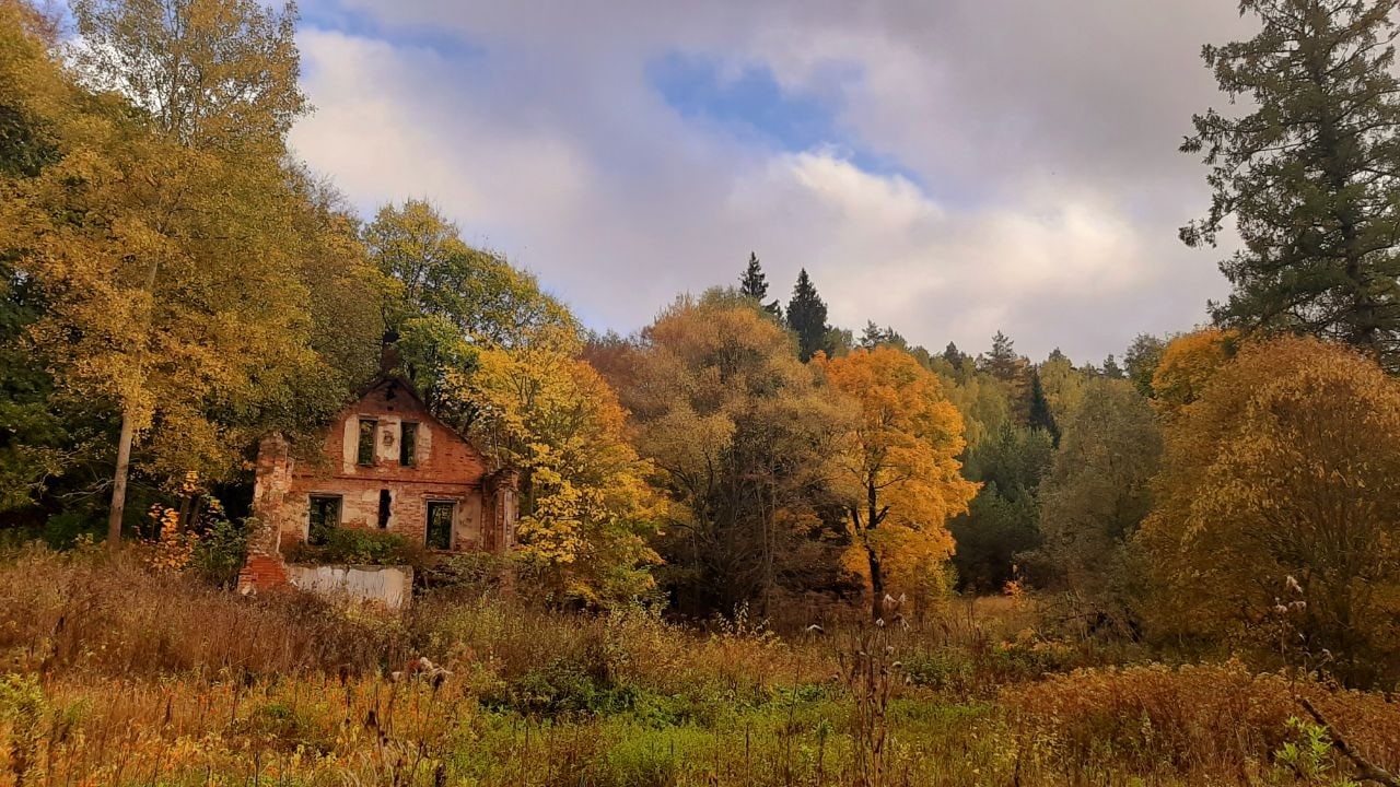Усадьба Сенницы осенью. Источник фото: https://vk.ru/zelenyi_dyatel