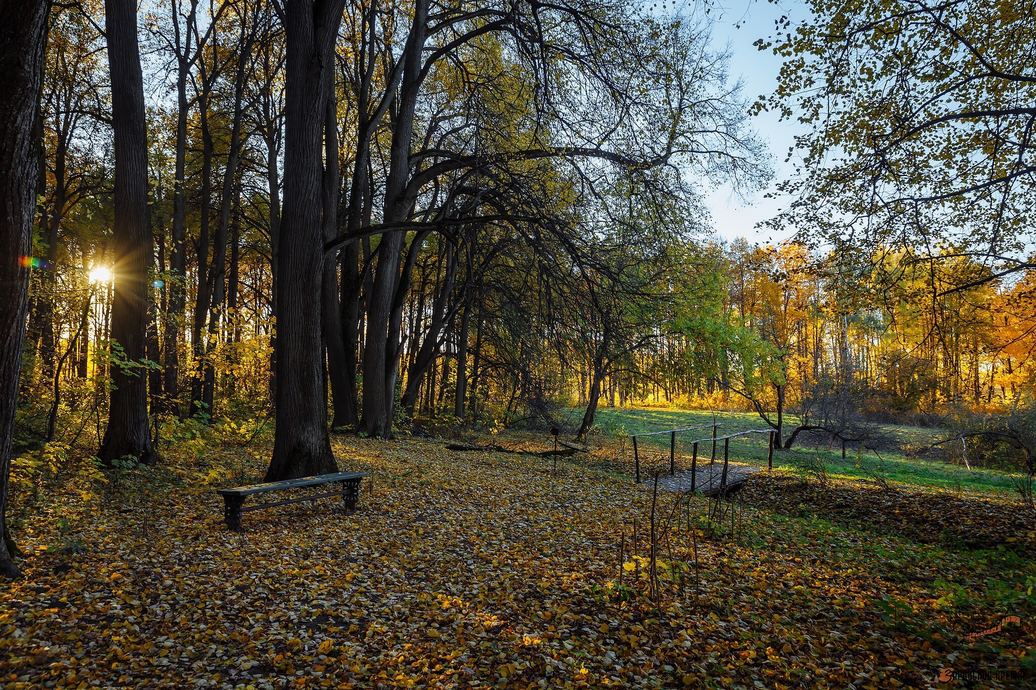 Парк в Даровом. Источник фото: https://vk.ru/zapovednoe_darovoe