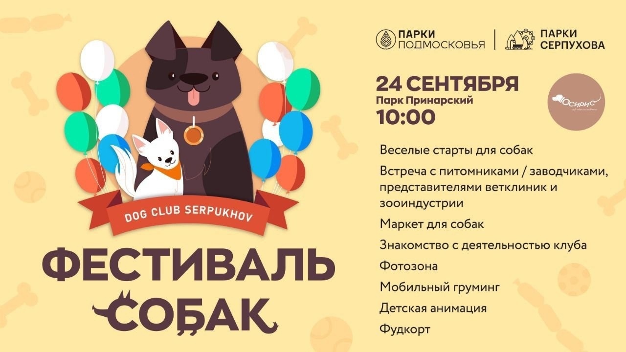 Фестиваль собак в Серпухове