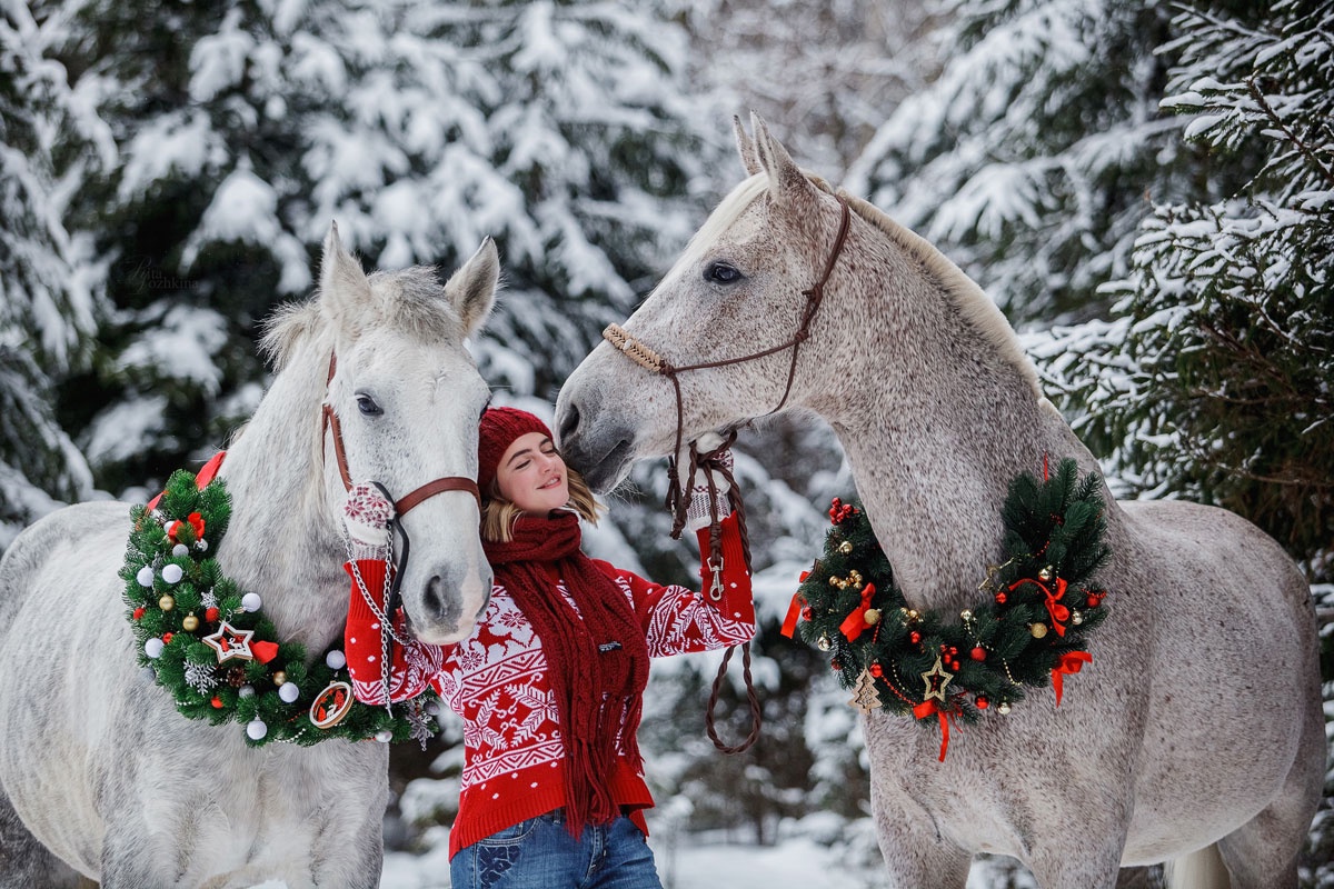Новогодние программы в конном клубе «Халкедон»