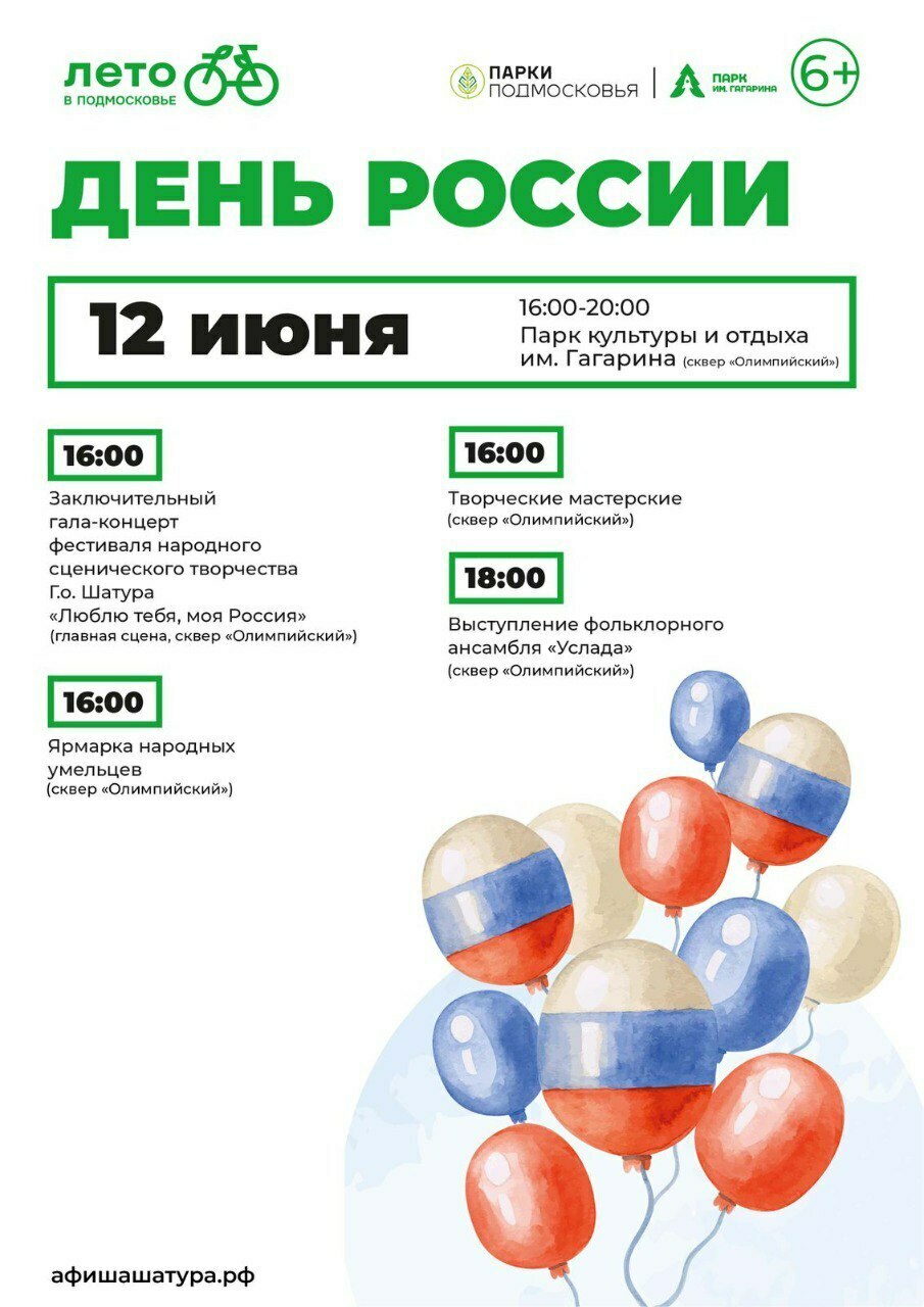 День России в Шатуре