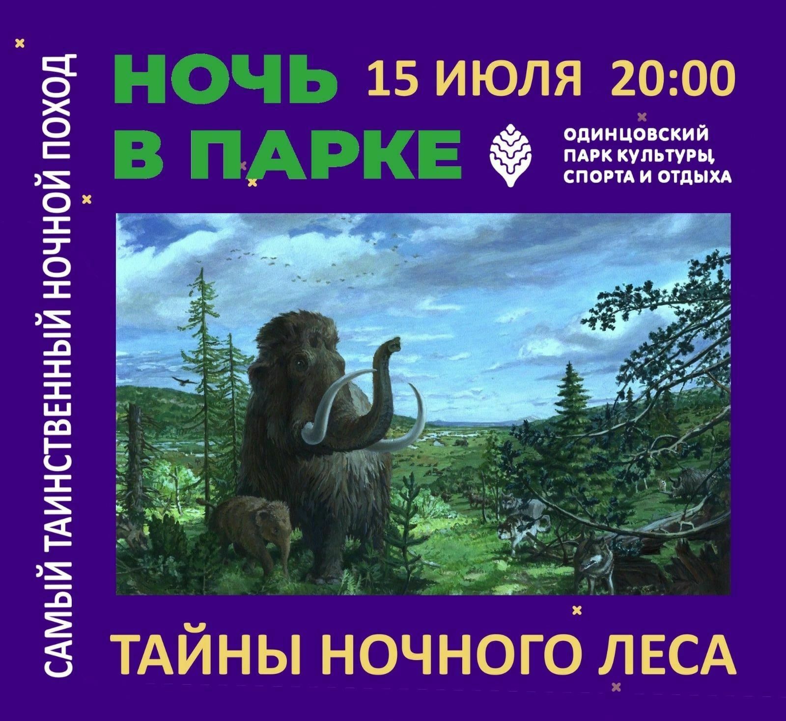 Ночной экскурсионный поход «Тайны ночного леса»