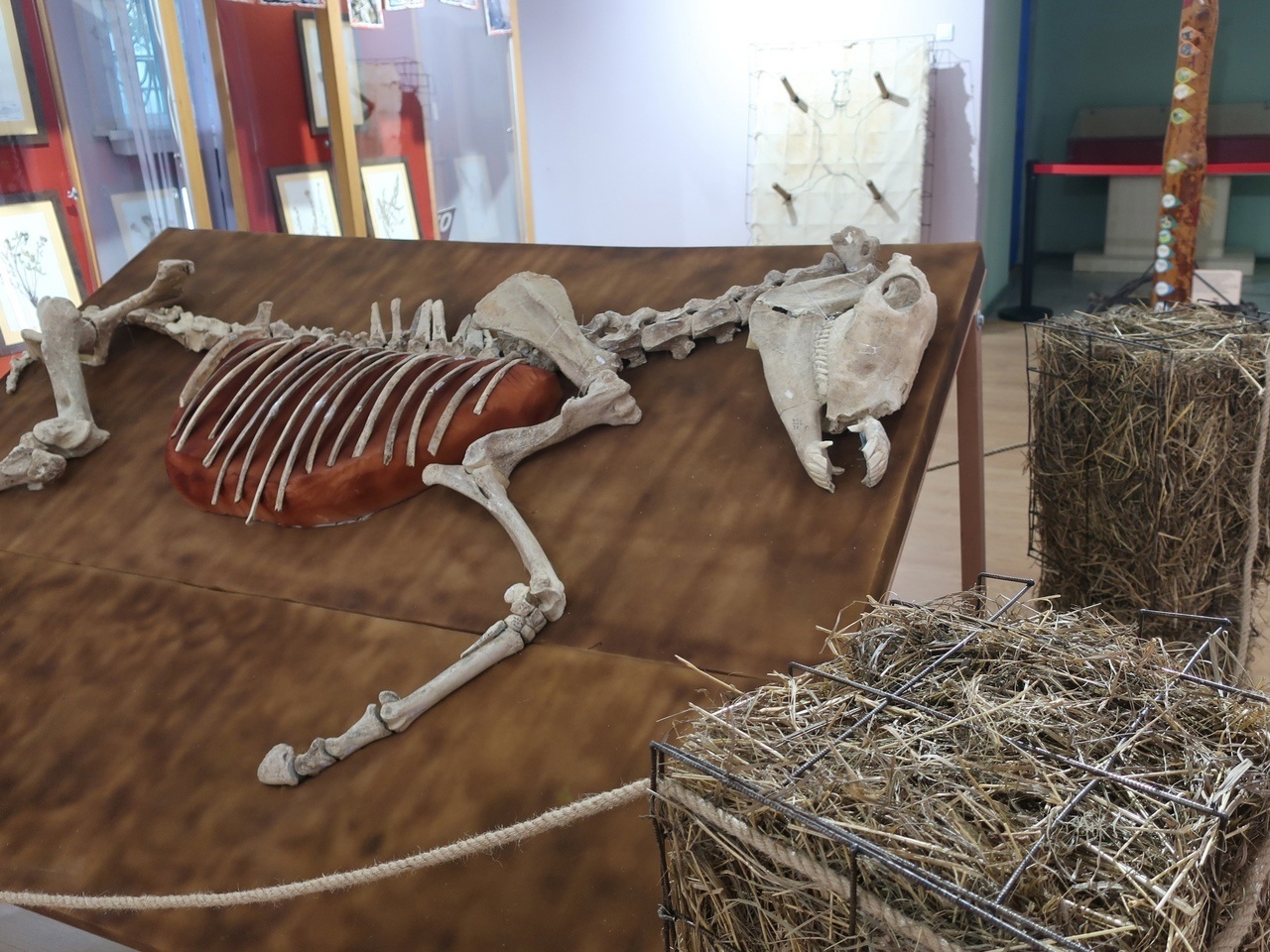 Выставка «Лошадь. Equus. Hippos»