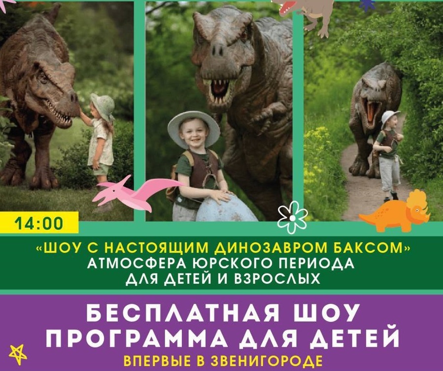 Бесплатная шоу-программа для детей