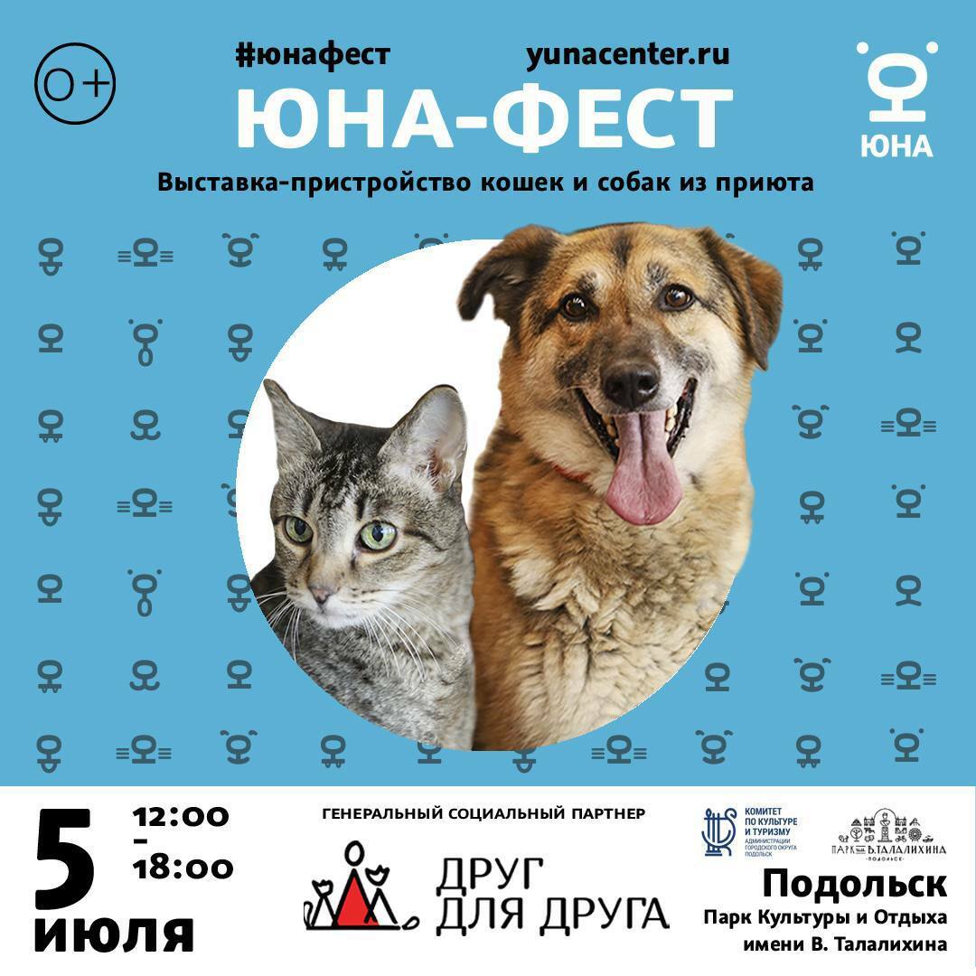 Фестиваль «Юна-Фест»