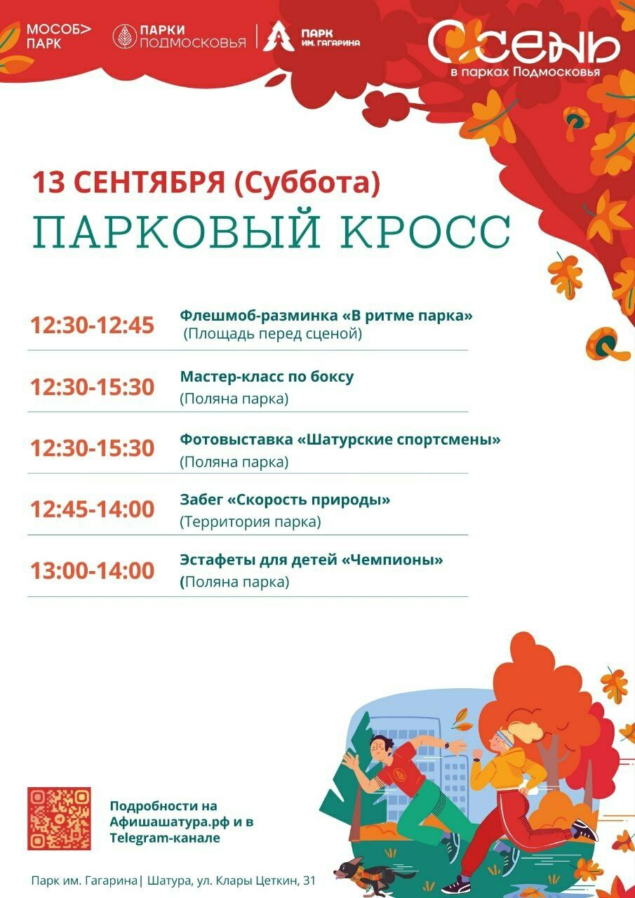 Мероприятие «Парковый кросс» в Шатуре