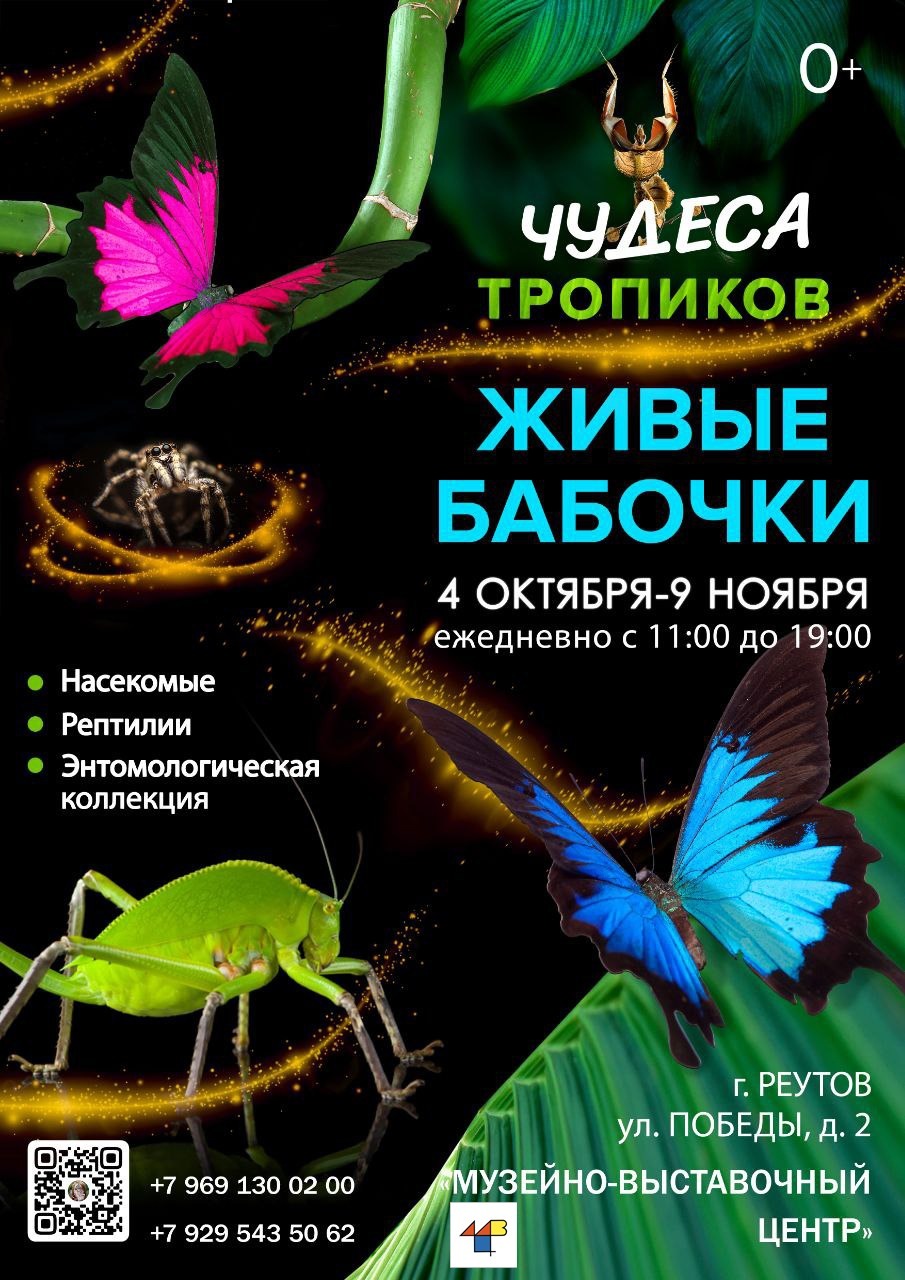 Выставка «Чудеса тропиков. Живые бабочки»