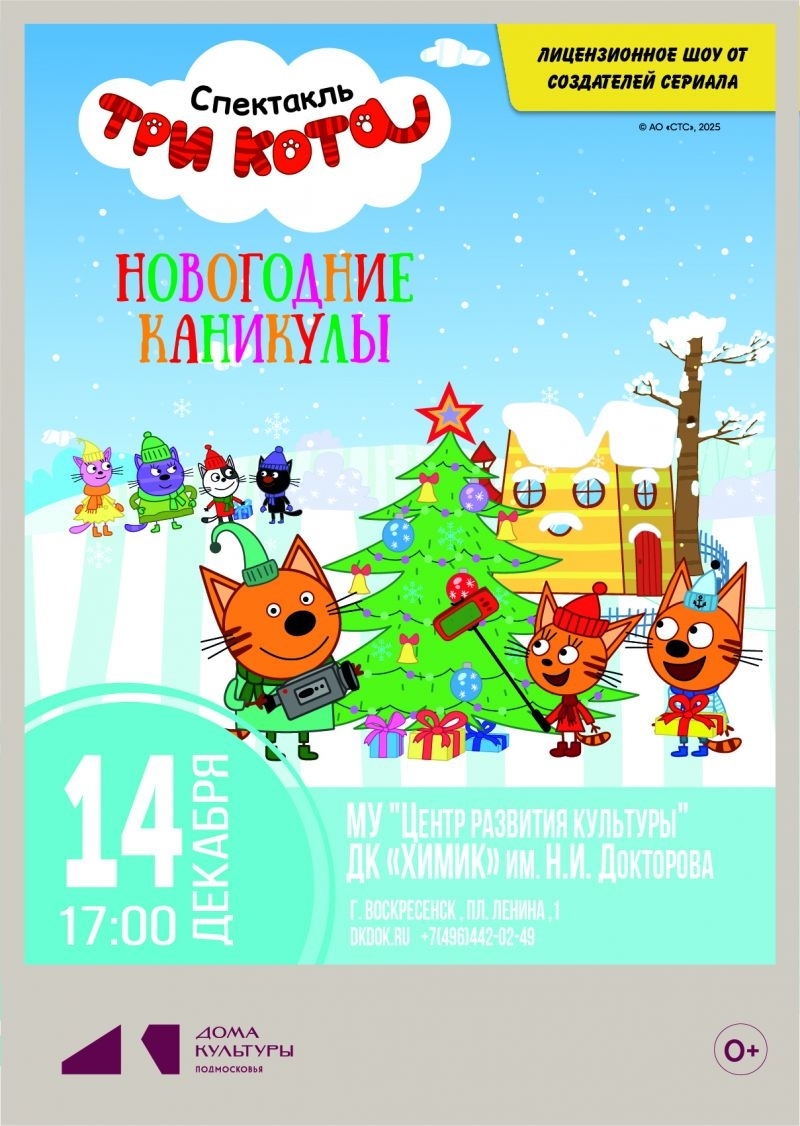 Спектакль «Три кота: новогодние каникулы»