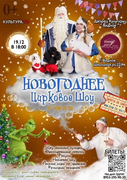 Новогоднее цирковое мыльное шоу в Видном