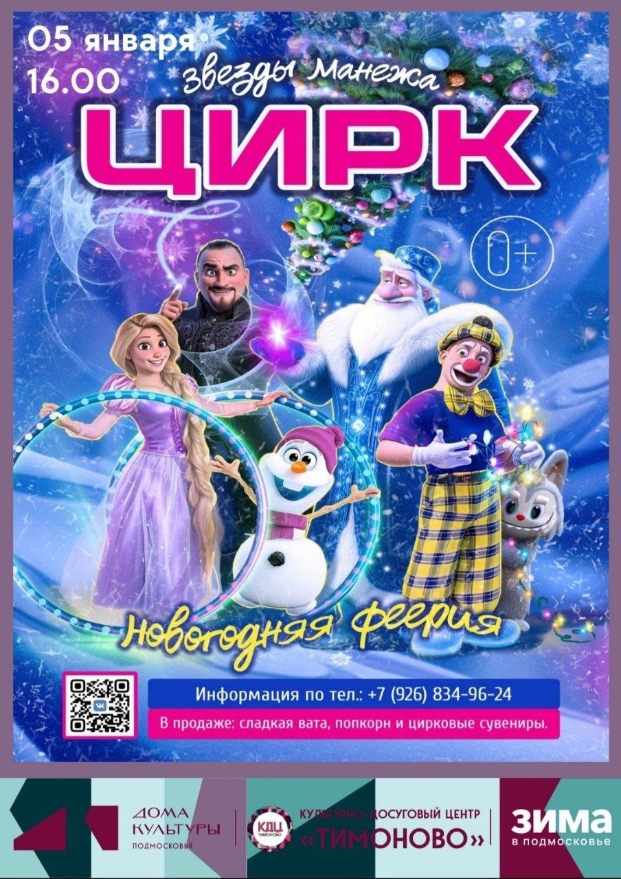 Цирковое представление «Новогодняя феерия»