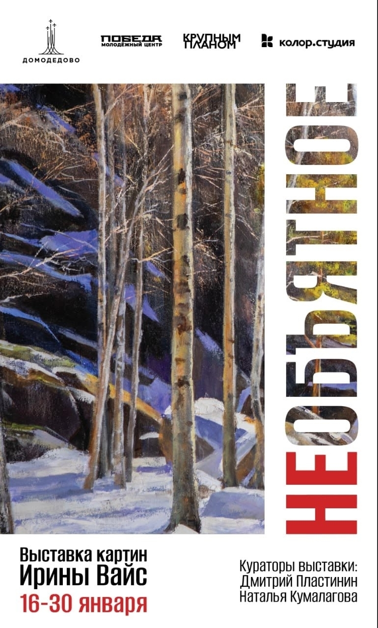 Выставка картин Ирины Вайс «Необъятное»