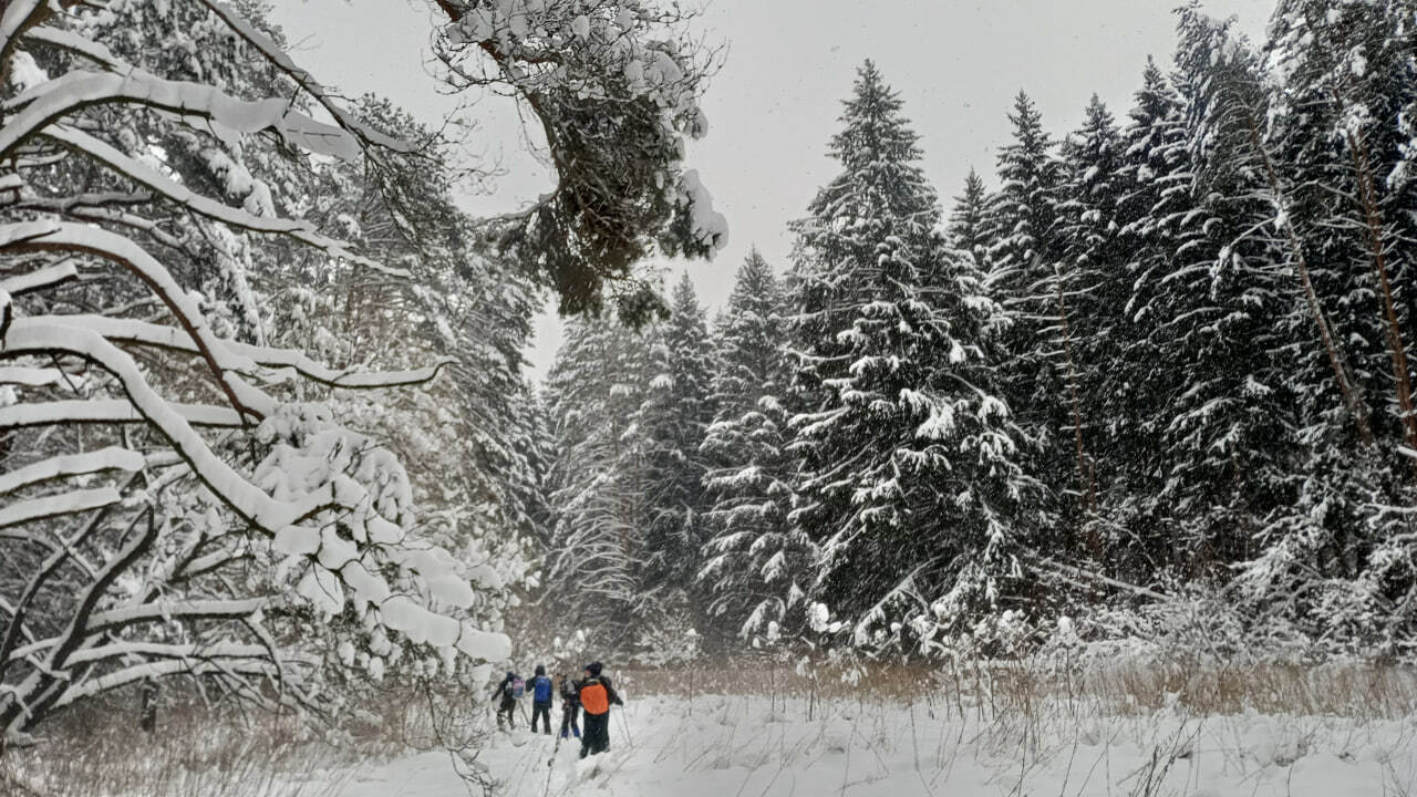 Зимний лыжный поход «Степи Осетровья»