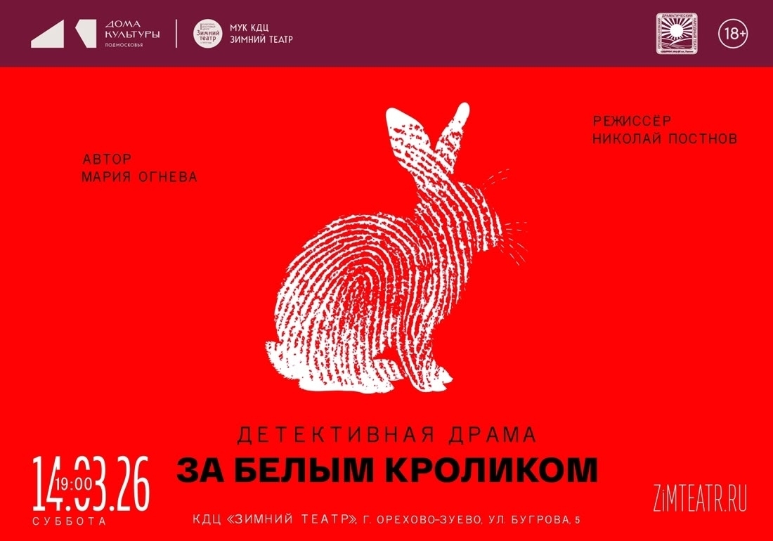 Детективная драма «За белым кроликом»